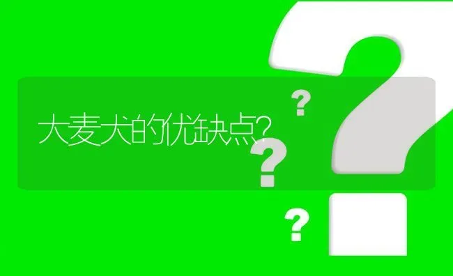 大麦犬的优缺点？ | 动物养殖问答