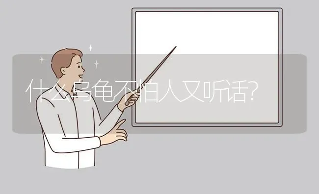 金毛几个月会叫？ | 动物养殖问答