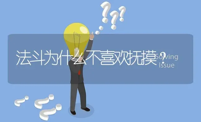 法斗为什么不喜欢抚摸？ | 动物养殖问答