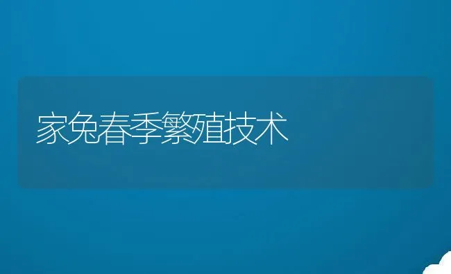 家兔春季繁殖技术 | 水产养殖知识