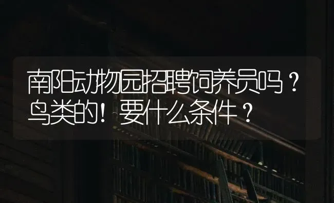 南阳动物园招聘饲养员吗？鸟类的！要什么条件？ | 动物养殖问答