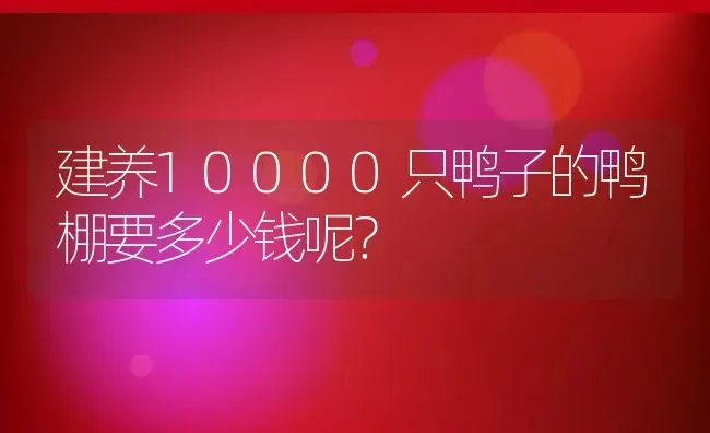 建养10000只鸭子的鸭棚要多少钱呢？ | 动物养殖百科