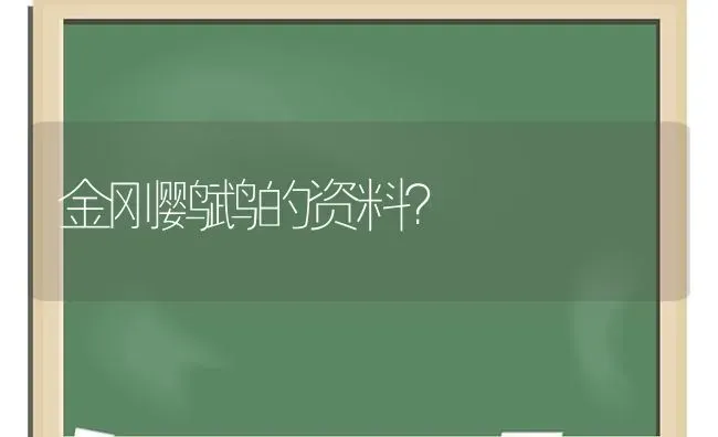 有哪些适合猫咪的名字？ | 动物养殖问答