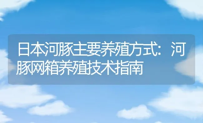 日本河豚主要养殖方式:河豚网箱养殖技术指南 | 动物养殖饲料