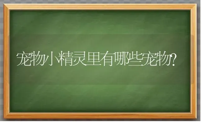 我家猫咪尿血了，求助求助？ | 动物养殖问答