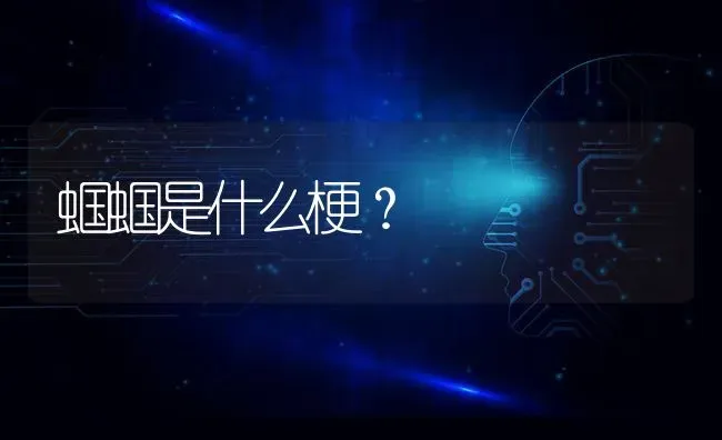 蝈蝈是什么梗？ | 动物养殖问答