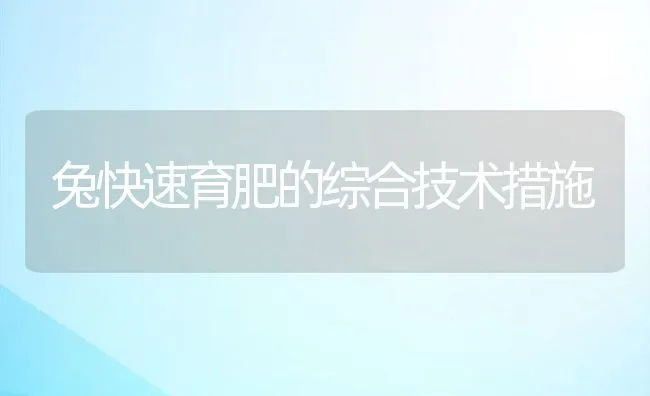 兔快速育肥的综合技术措施 | 动物养殖学堂