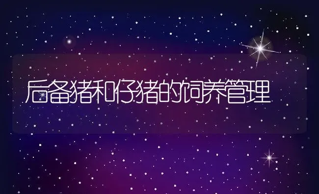 后备猪和仔猪的饲养管理 | 动物养殖学堂