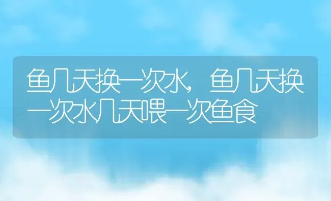 鱼几天换一次水,鱼几天换一次水几天喂一次鱼食 | 宠物百科知识