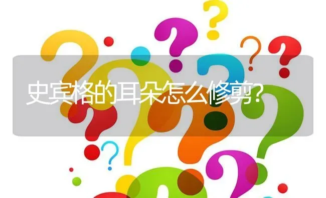 史宾格的耳朵怎么修剪？ | 动物养殖问答