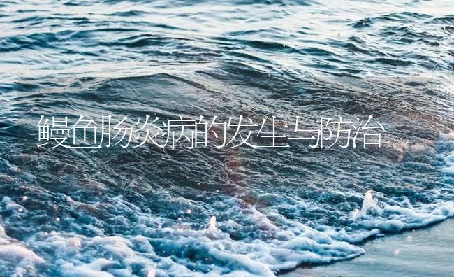 鳗鱼肠炎病的发生与防治 | 海水养殖技术