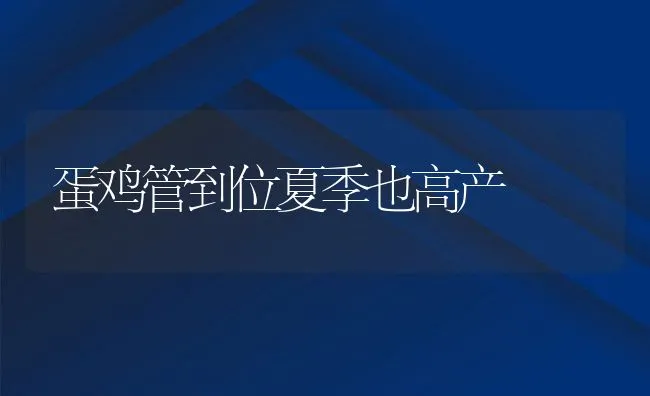 蛋鸡管到位夏季也高产 | 动物养殖饲料