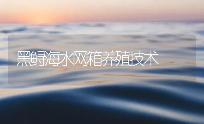 黑鲟海水网箱养殖技术 | 海水养殖技术