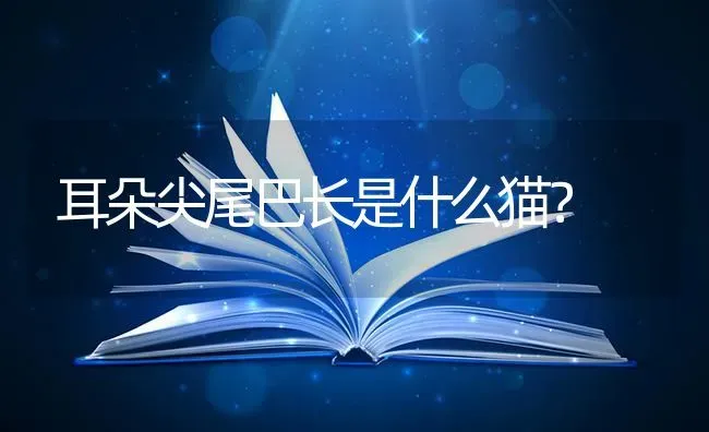 什么小型犬便宜，可爱，易养，干净，短毛，性格老实？ | 动物养殖问答