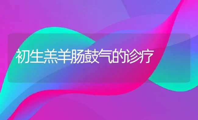 初生羔羊肠鼓气的诊疗 | 动物养殖学堂