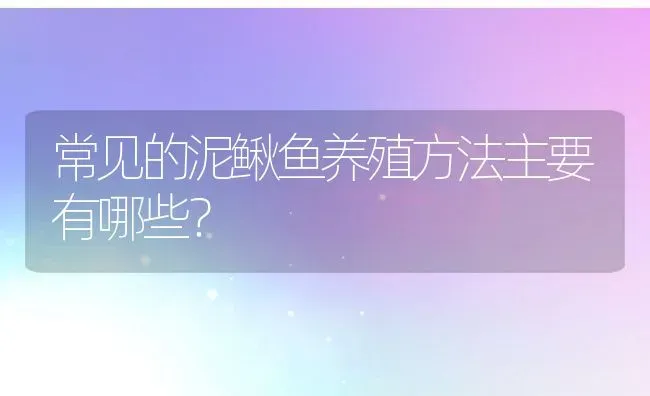 常见的泥鳅鱼养殖方法主要有哪些？ | 动物养殖百科