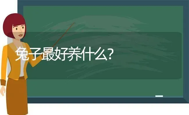 兔子最好养什么？ | 动物养殖问答