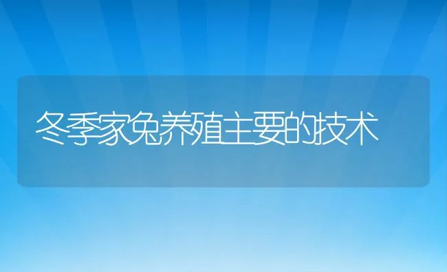 冬季家兔养殖主要的技术 | 动物养殖饲料