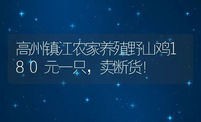 高州镇江农家养殖野山鸡180元一只，卖断货！ | 动物养殖教程