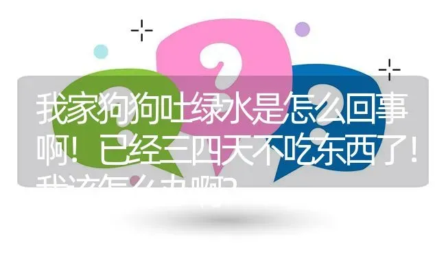 我家狗狗吐绿水是怎么回事啊！已经三四天不吃东西了！我该怎么办啊？ | 动物养殖问答