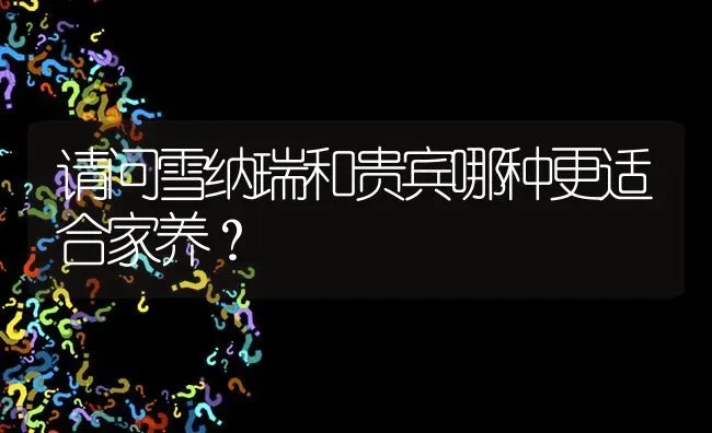 请问雪纳瑞和贵宾哪种更适合家养？ | 动物养殖问答