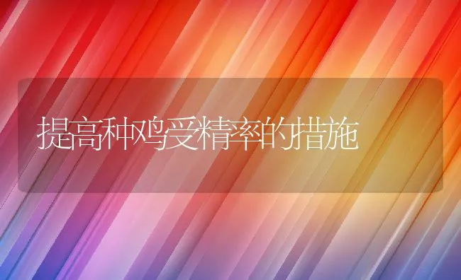 提高种鸡受精率的措施 | 动物养殖学堂