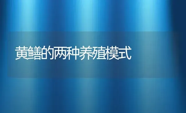 黄鳝的两种养殖模式 | 动物养殖百科