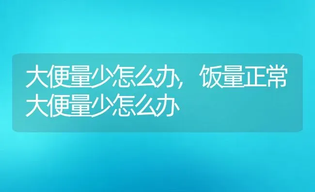 大便量少怎么办,饭量正常大便量少怎么办 | 宠物百科知识