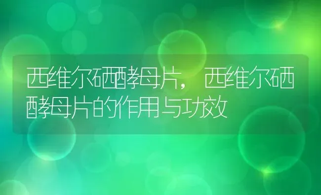 西维尔硒酵母片,西维尔硒酵母片的作用与功效 | 宠物百科知识