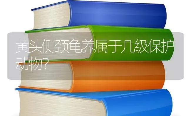 黄头侧颈龟养属于几级保护动物？ | 动物养殖问答