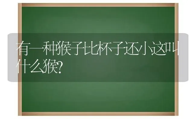 有一种猴子比杯子还小这叫什么猴？ | 动物养殖问答