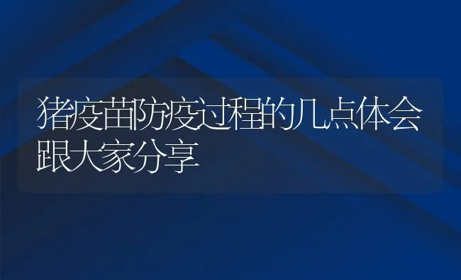 猪疫苗防疫过程的几点体会跟大家分享 | 动物养殖学堂