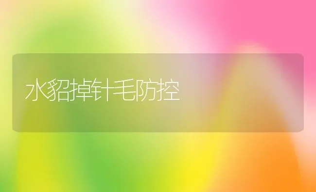 水貂掉针毛防控 | 动物养殖百科