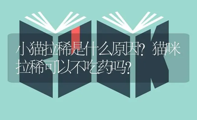 小猫拉稀是什么原因？猫咪拉稀可以不吃药吗？ | 动物养殖问答