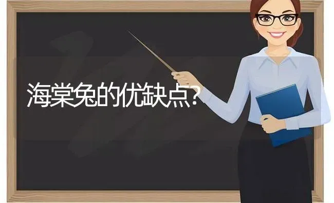 海棠兔的优缺点？ | 动物养殖问答