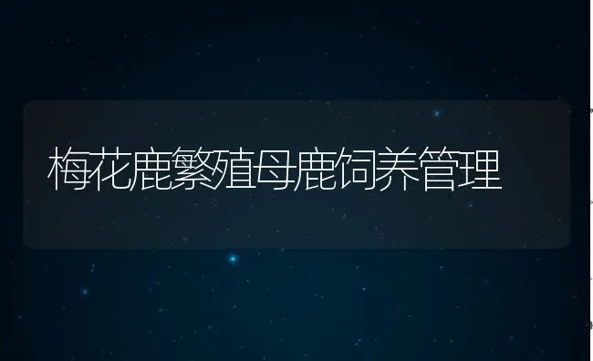 天然矿物质饲料膨润土 | 动物养殖学堂