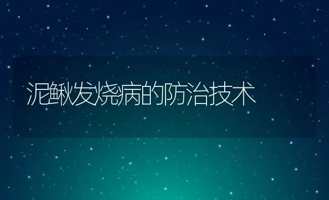 泥鳅发烧病的防治技术 | 水产养殖知识