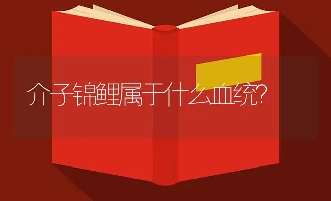 介子锦鲤属于什么血统？ | 鱼类宠物饲养