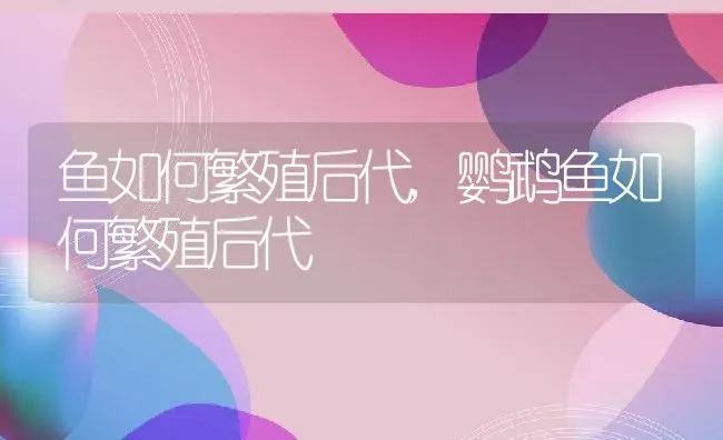 鱼如何繁殖后代,鹦鹉鱼如何繁殖后代 | 宠物百科知识