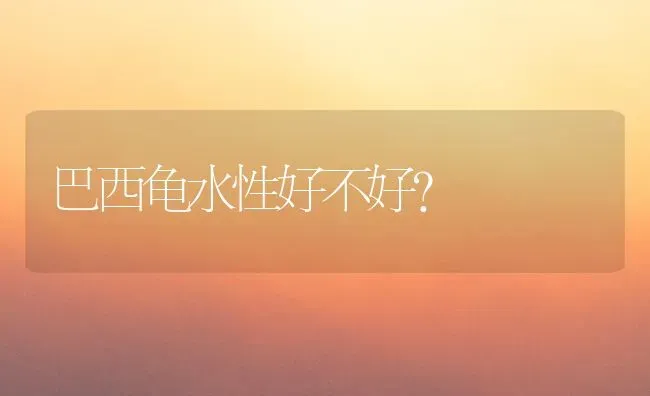 巴西龟水性好不好？ | 动物养殖问答