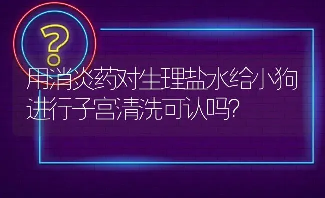 用消炎药对生理盐水给小狗进行子宫清洗可认吗？ | 动物养殖问答