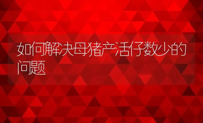 如何解决母猪产活仔数少的问题 | 动物养殖学堂