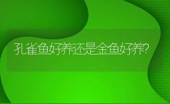 孔雀鱼好养还是金鱼好养？ | 鱼类宠物饲养