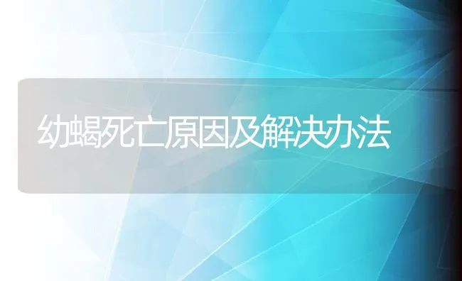 幼蝎死亡原因及解决办法 | 水产养殖知识