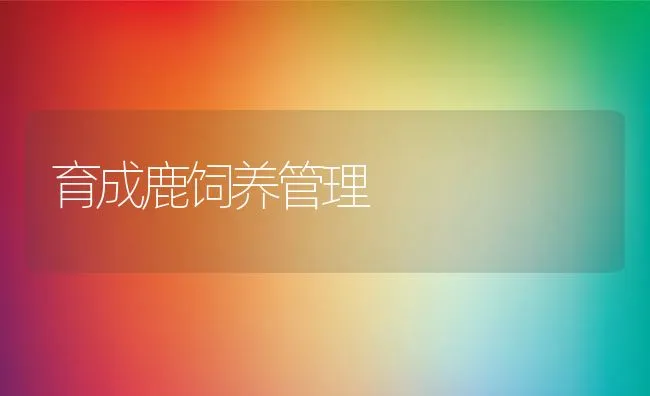 育成鹿饲养管理 | 动物养殖学堂