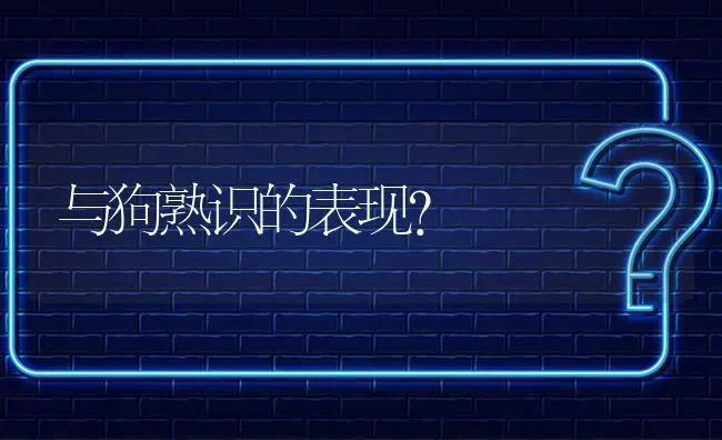 与狗熟识的表现？ | 动物养殖问答