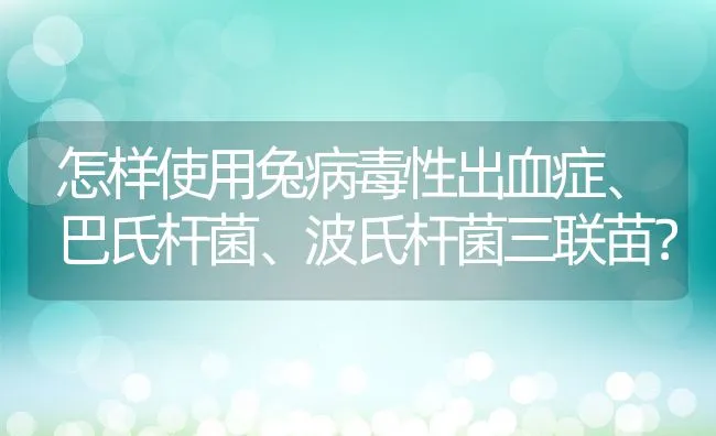 怎样使用兔病毒性出血症、巴氏杆菌、波氏杆菌三联苗？ | 水产养殖知识