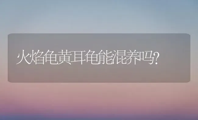 火焰龟黄耳龟能混养吗？ | 动物养殖问答