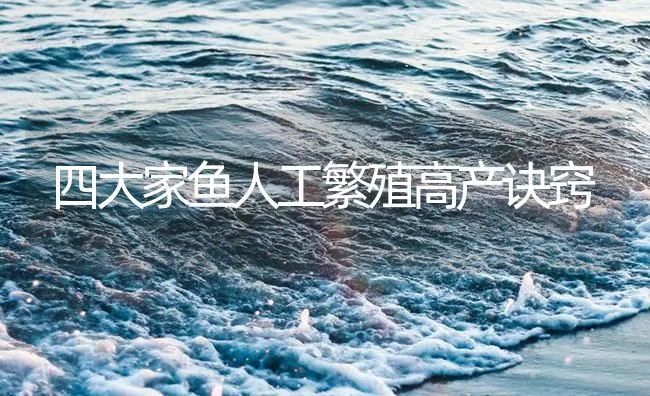 四大家鱼人工繁殖高产诀窍 | 海水养殖技术