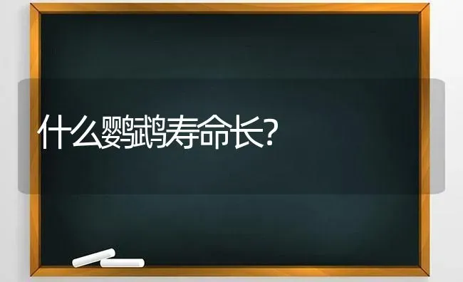 什么鹦鹉寿命长？ | 动物养殖问答